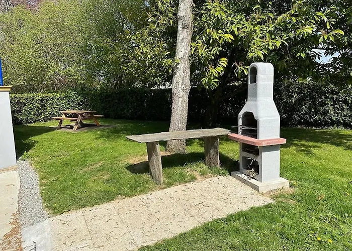 Les Hirondelles Au Bord De L\'Eau