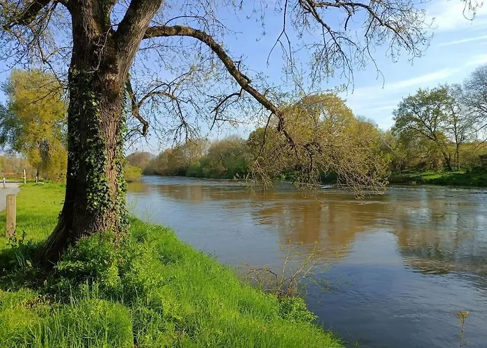 Les Hirondelles Au Bord De L\'Eau